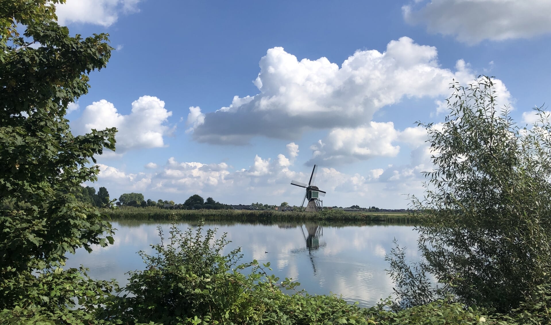 Weijpoortse molen. Beeld: Kijk op Bodegraven-Reeuwijk