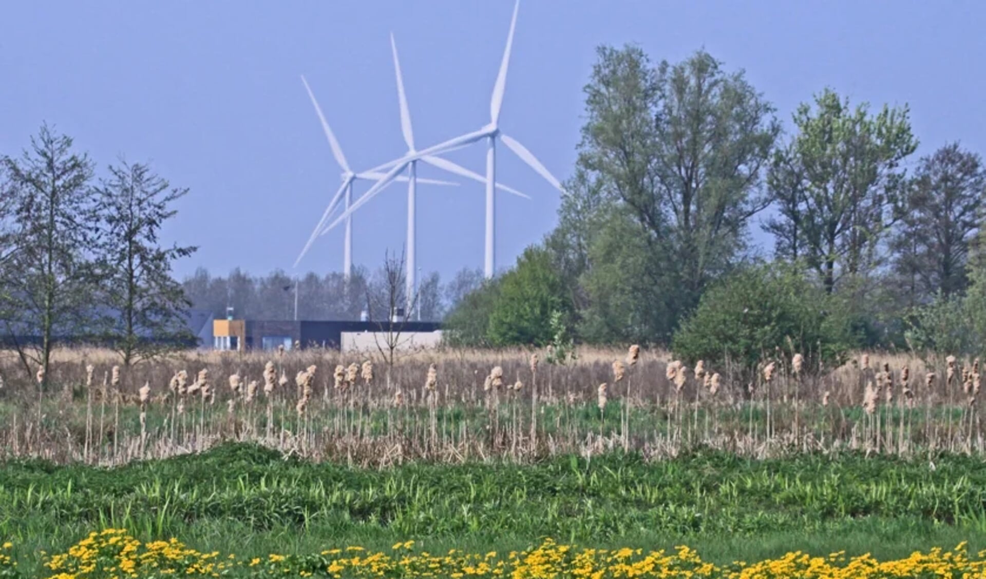 Windmolens kunnen het landschap domineren (foto ter illustratie). Beeld: Bert Verver