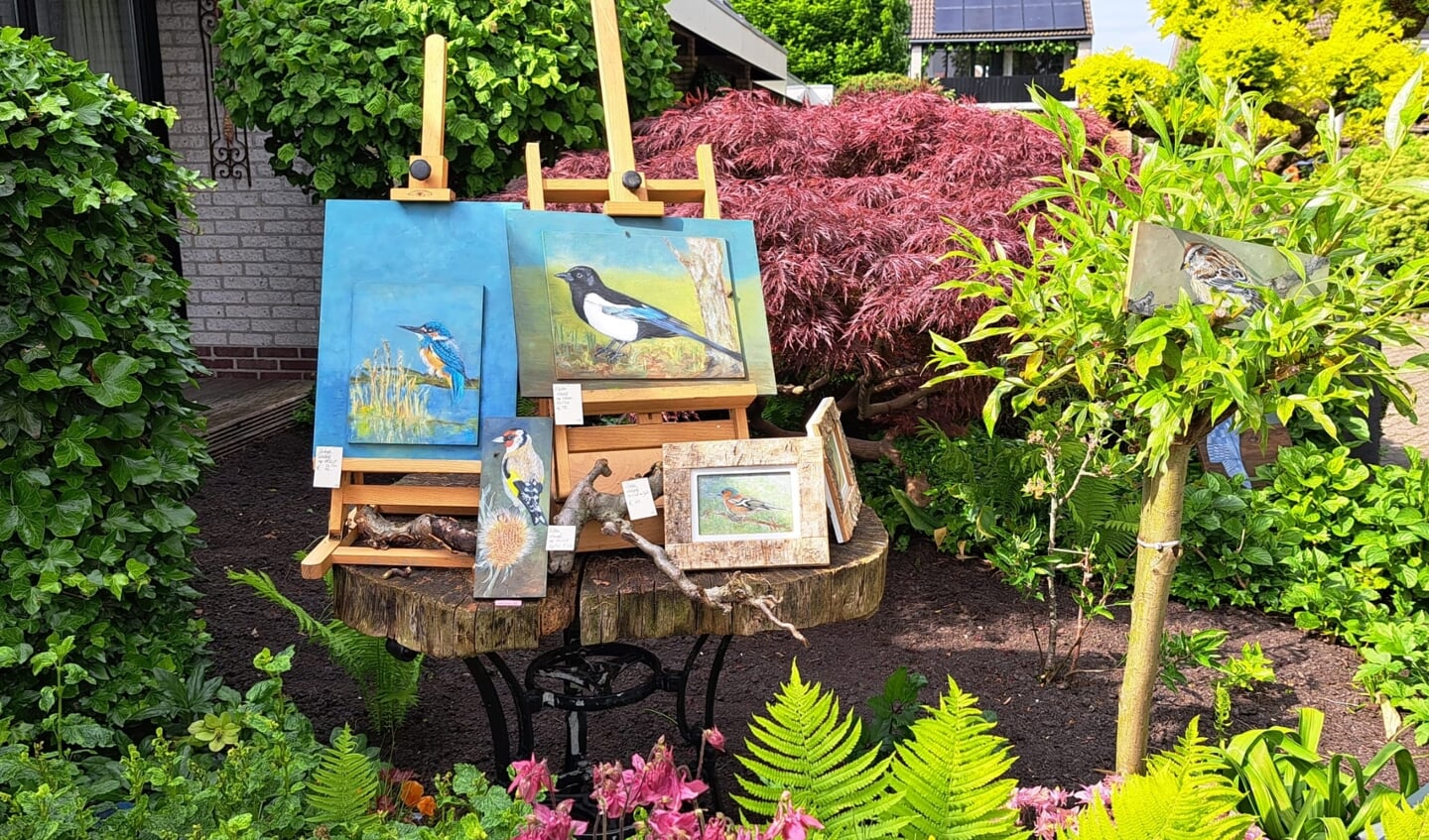 Prachtige geschilderde vogels van Trude Binken. Beeld: Atelier Kunstroute