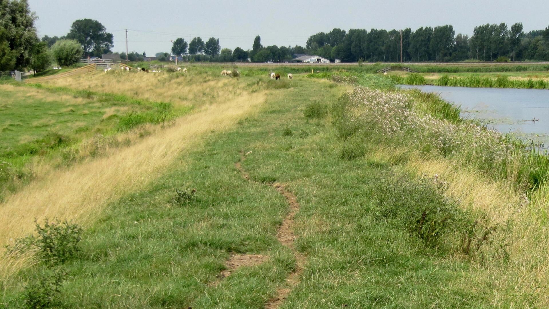 De Prinsendijk met de Enkele Wiericke.