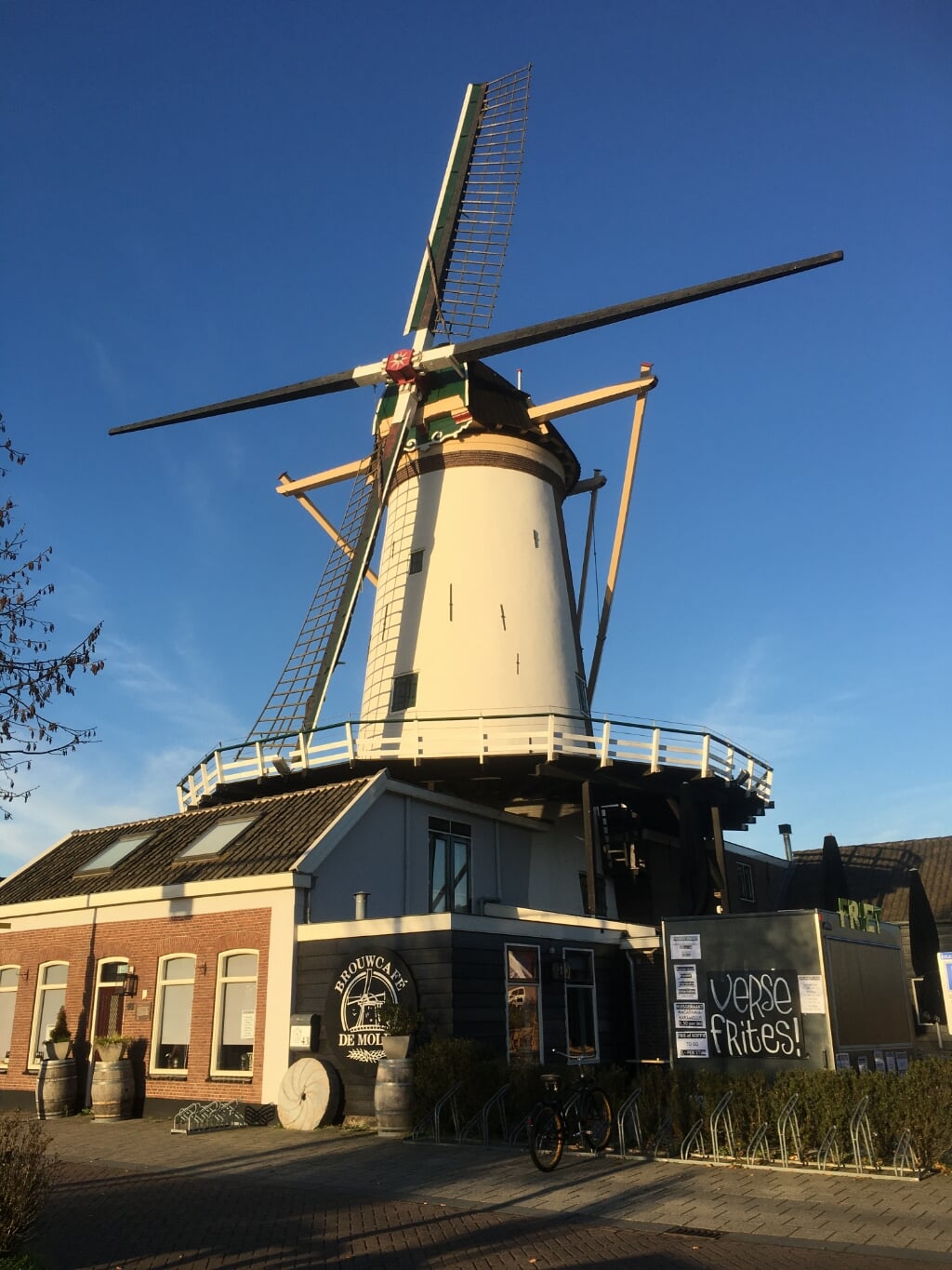 Korenmolen de Arkduif