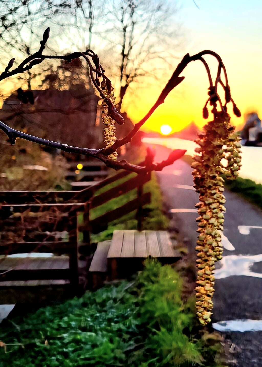 Heerlijke avondwandeling van Bodegraven naar Nieuwegein. Beeld: Patrick Mulder