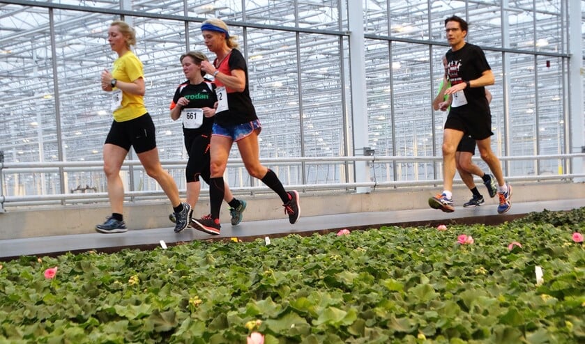Tomatentelers kunnen zich het risico van besmetting niet veroorloven en weren dus mensen zoveel mogelijk uit de kas. (Foto: AvdH)