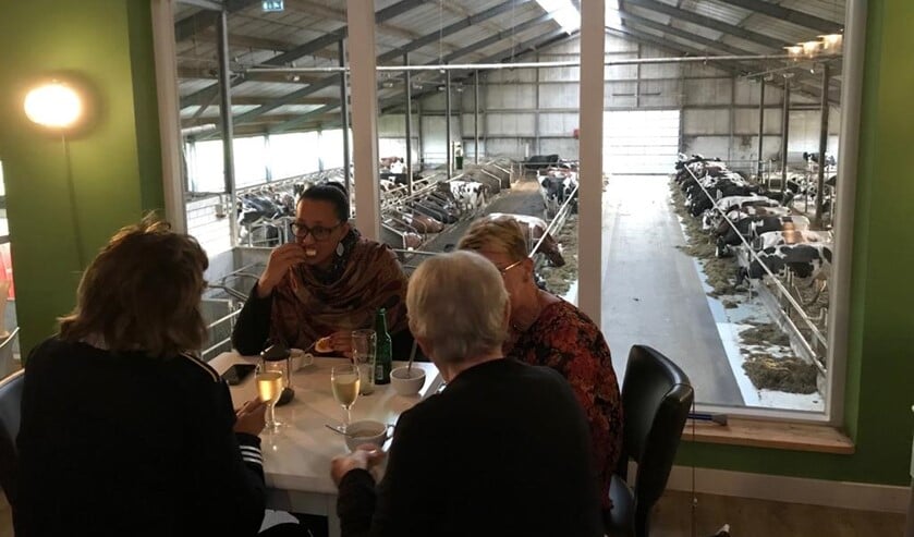 Boerderij Het Lansingerland ontving de Humanitas vrijwilligers met egards. (Foto: PR)