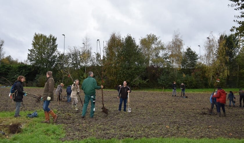 Tijdens de Natuurwerkdag werd gestart met Plukberm of eetbare ruimte in Bergschenhoek, werden er wilgen geknot in Berkel en Rodenrijs en extra ruimte in het riet gemaakt langs de Lange vaart in Bleiswijk. (Foto: AB)