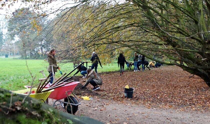 En nu maar hopen dat de geplante bolletjes aanslaan en zich vermeerderen. (Foto: AvdH)