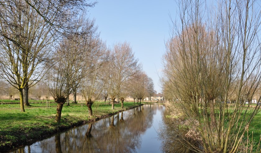 Het hoogheemraadschap van Schieland en de Krimpenerwaard gebruikt sattelietbeelden om sloten te controleren. Het betreft een proef. (Foto: PR)