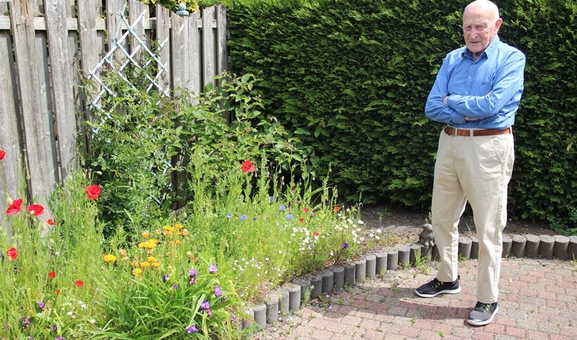 Nico Storre heeft speciaal voor de bijen zomerbloemen gezaaid in zijn achtertuin.