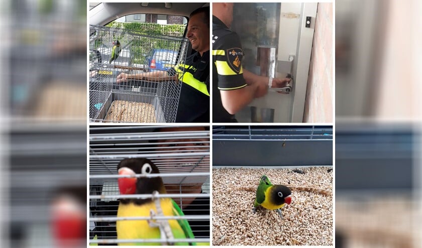 Foto: politie Midden-Schieland