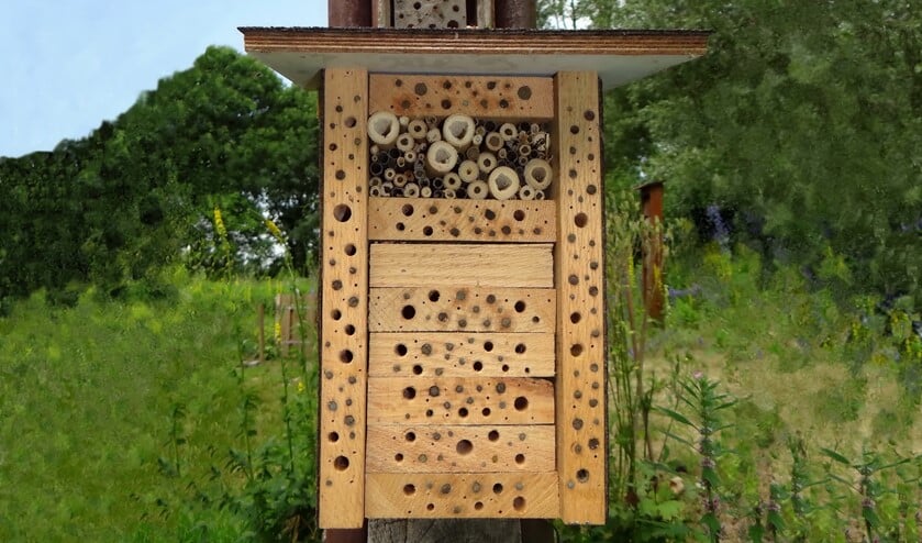 Bijenhotel: de afgesloten holletjes zijn door wilde bijen in gebruik (foto: Pieter van Breugel)