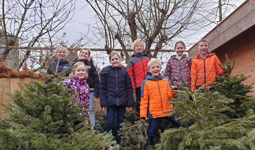 Jasmijn, Annika, Bram, Mees, Jelmer, Carlijn, Marleen en Anouk verzamelden zo'n 160 kerstbomen. (Foto: AN)