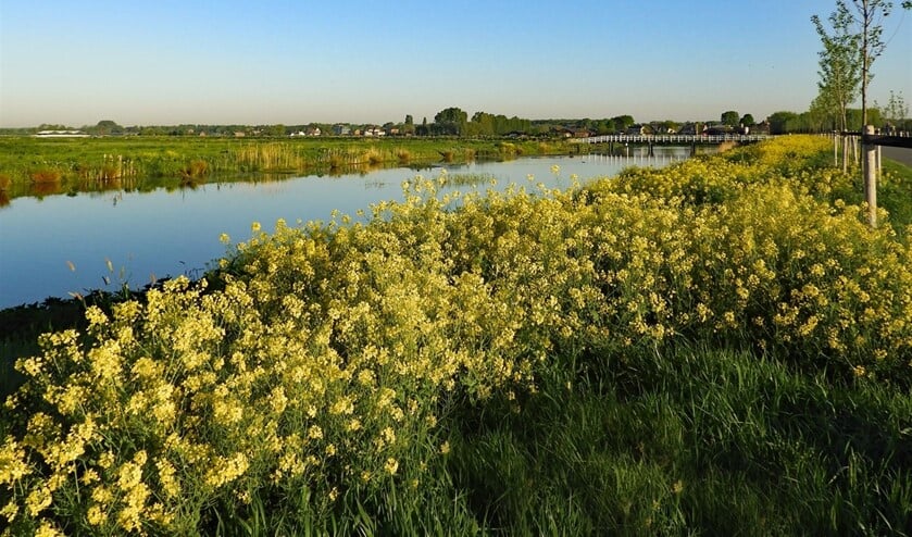 In Lansingerland en omgeving is gelukkig veel natuur te ontdekken. (Foto: archief)
