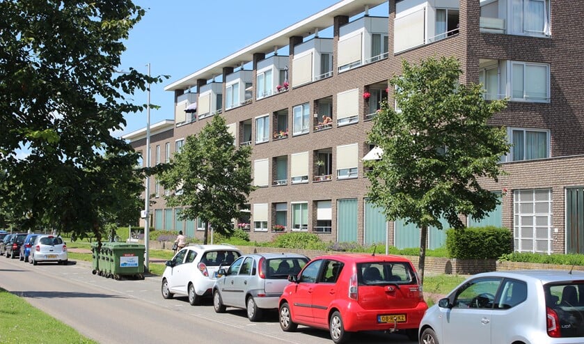 In Meerpolder zijn meerdere soorten sociale huurwoningen.
