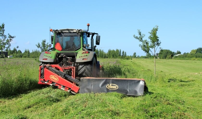<p>Gedurende bijna een jaar is het gemaaide gras gecomposteerd.</p>