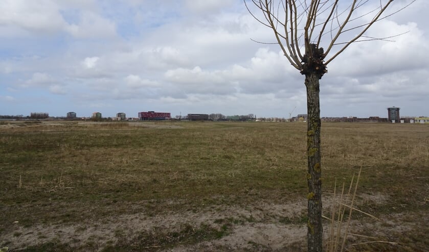 <p>Wilderszijde, nu nog braakliggend terrein, maakt de tongen los in de gemeenteraad.</p>