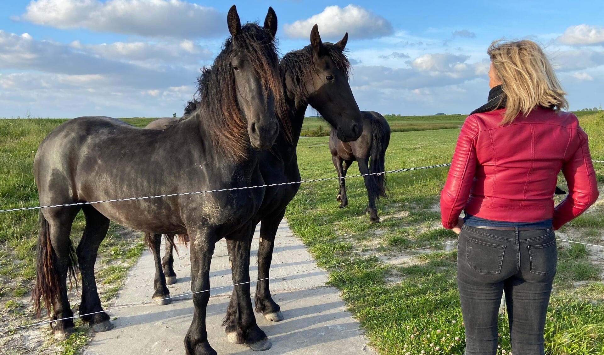 Kommissylid Brenda van der Zee op lokasy