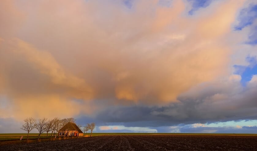 Roze wolk