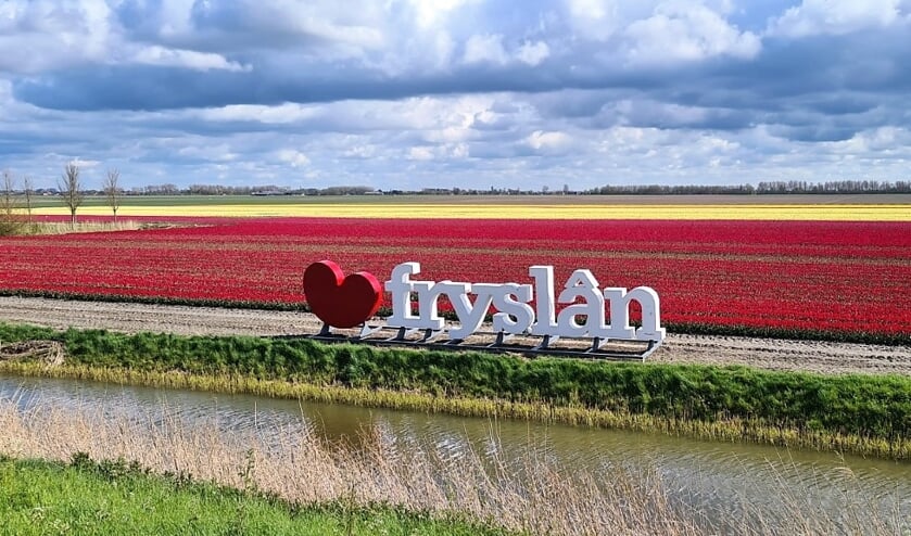 Tulpenveld Oude Bildtdijk