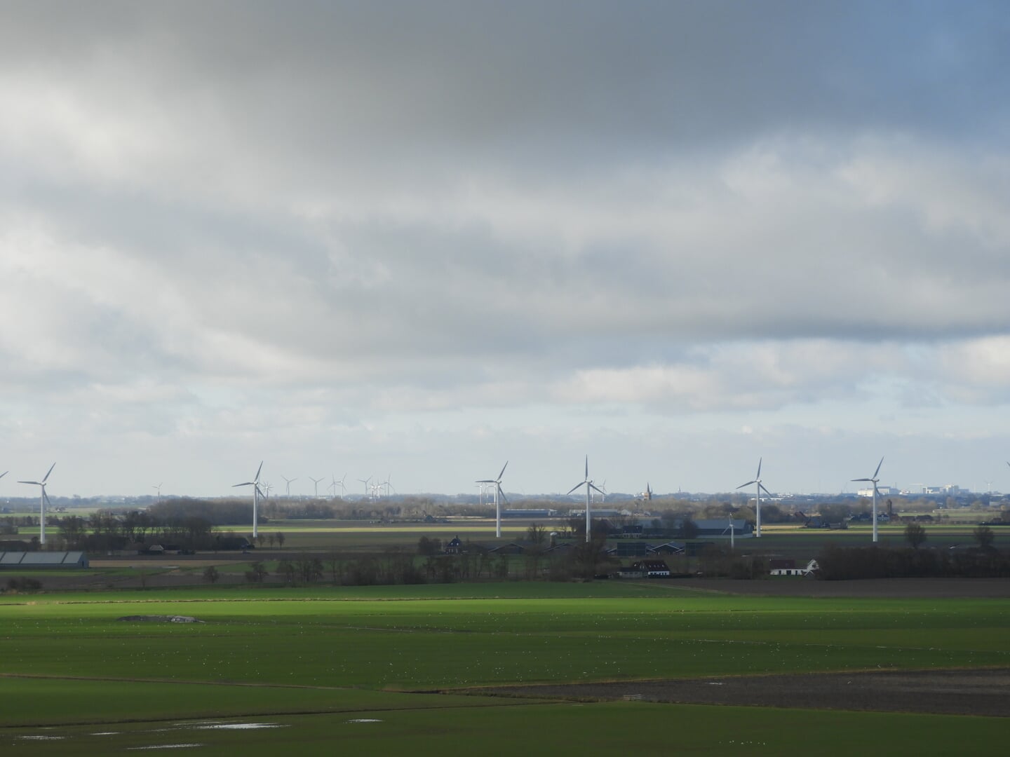 de windmolens bij Minnertsga met haven Harlingen in de feerte