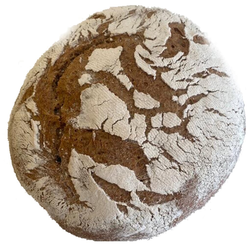 Het eerste brood van het Bildtse rode graan