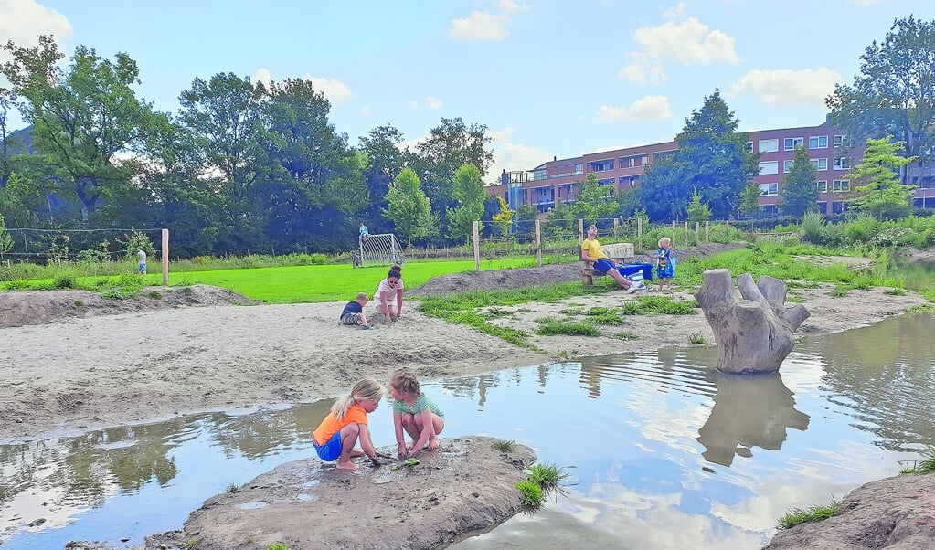 Natuurspeeltuin in het Brediuspark in Woerden
