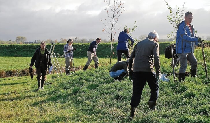 De vrijwilligers waren afgelopen zaterdag hard aan het werk om het Ecopark Linschoten te vergroenen.