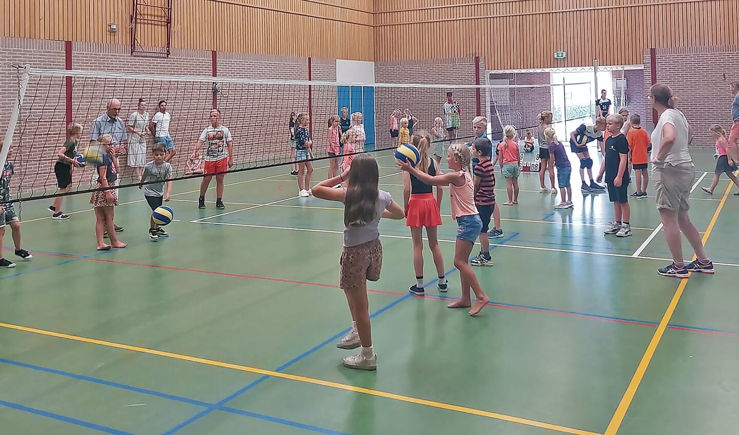 Volleybal workshop in de gymzaal.