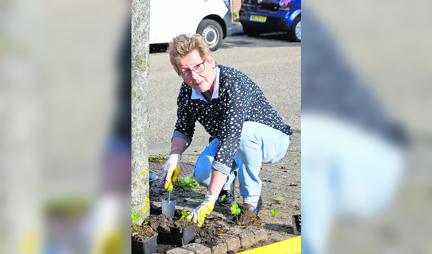 Jacoba Herben bij de boomspiegelop de Beide Vlooswijkenlaan.