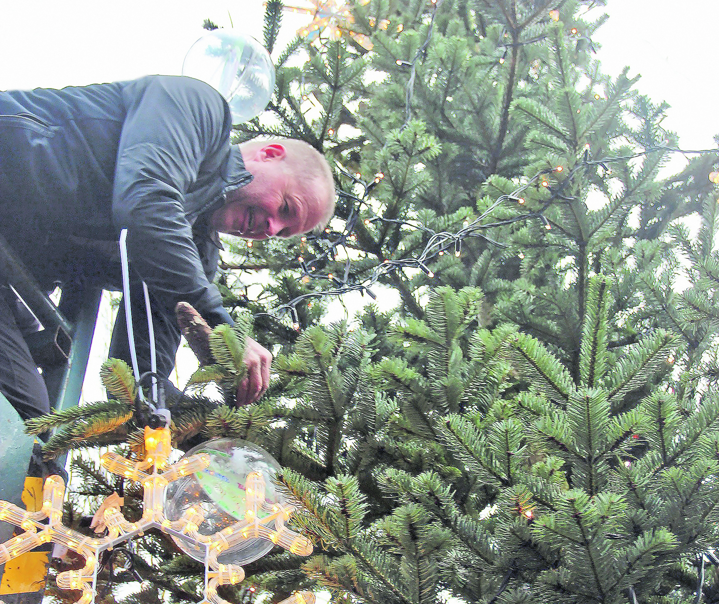 Delynn mocht enkele ballen in de boom hangen.