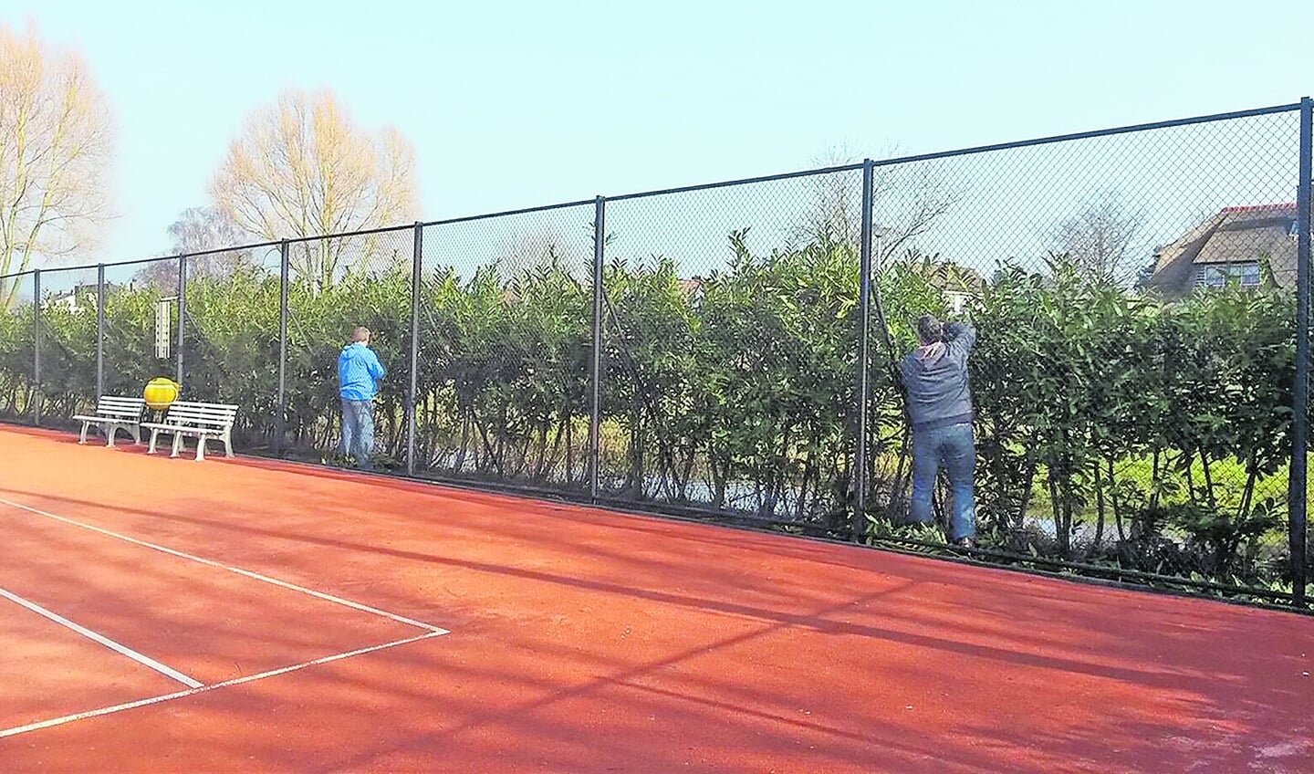 De Tennisbaan in Waarder.