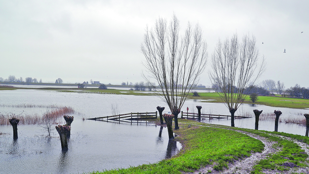 Hoog water langs de Lekdijk (foto: Emmy van Harskamp).
