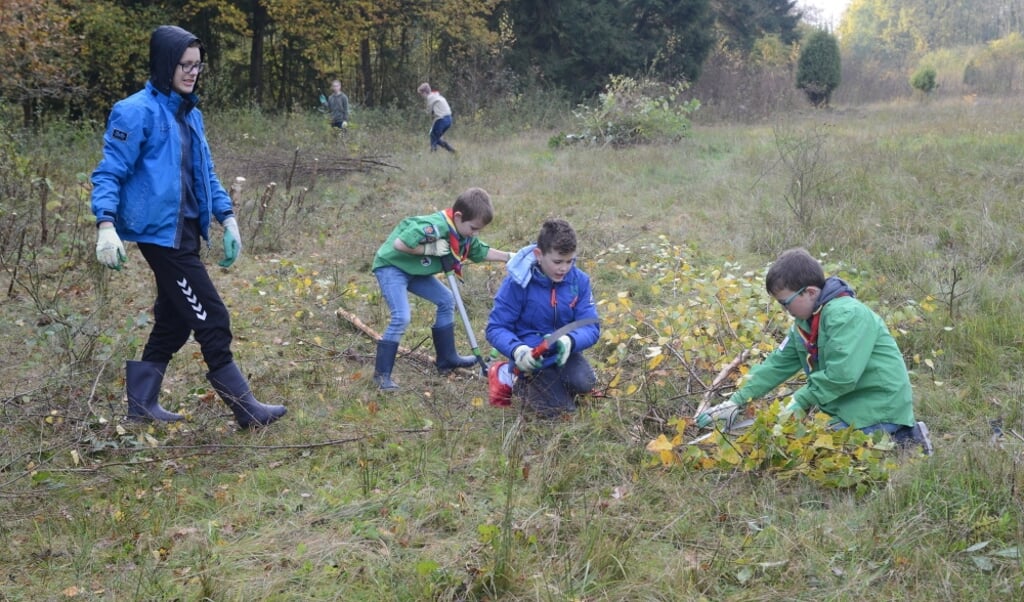 Scoutinggroep Steekt Handen Uit De Mouwen Nieuws Uit Urk