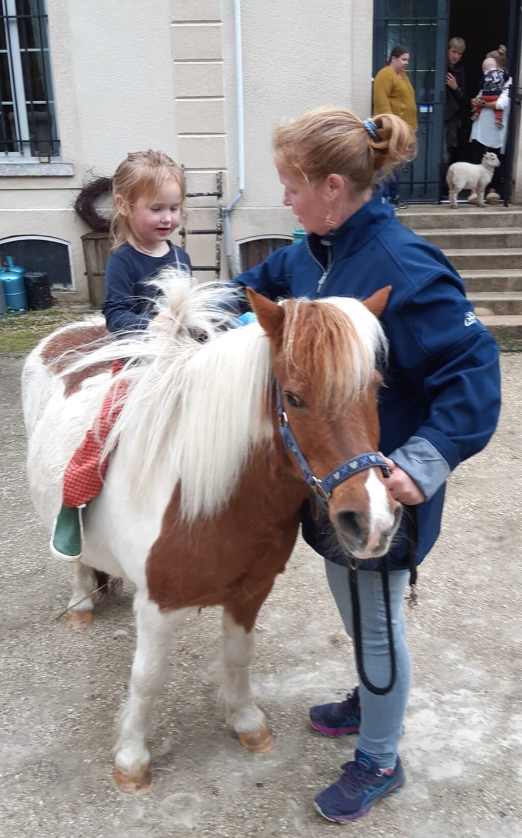 n Zara-Lilly maakt het eerste ritje op de pony, onder toezicht van een deel van de familie en het huisschaap Betty.