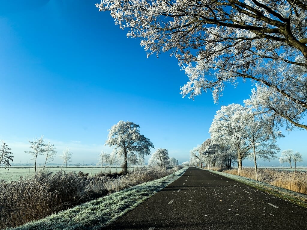 n Jennita Altena schoot dit winterse plaatje, met een strakblauwe hemel.