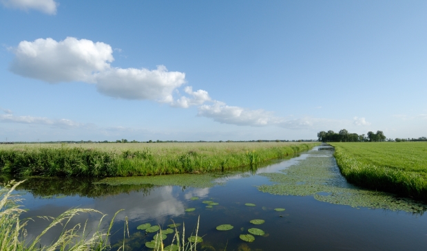 Polderslootje in Rijnenburg