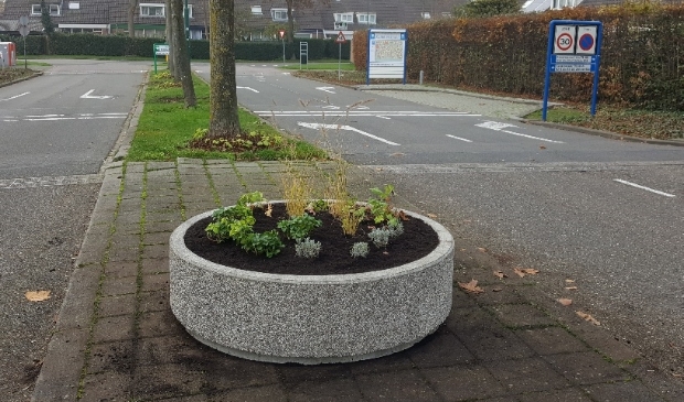 <p>bloembak Kamelenspoor</p>