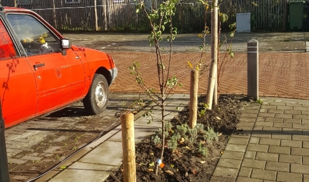 <p>nieuw plantvak</p>