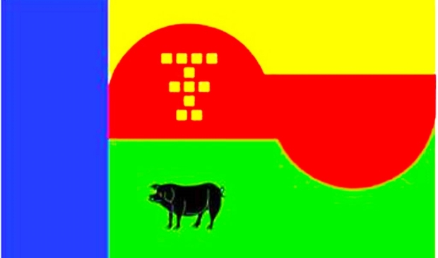 Vlag Tienhoven Toont