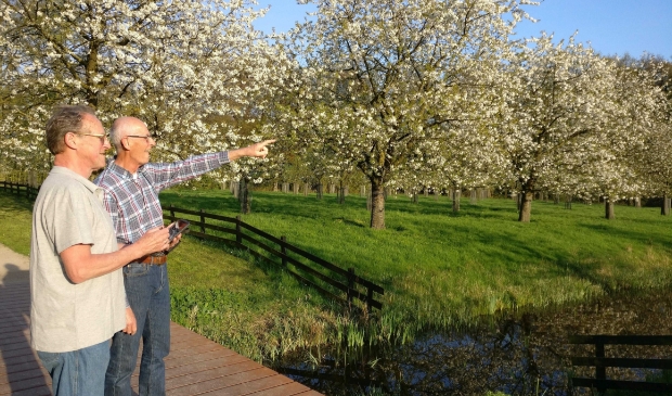 landschap