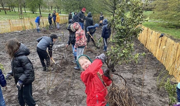 <p><em>Kinderen van Cleophasschool en Spoorzicht openen hun Tiny Forest Het Wonderlijke Bos</em> </p>