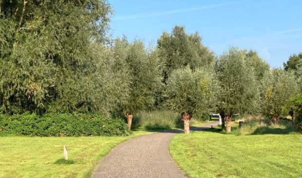 <p>De limes in De Balije. Sinds deze zomer werelderfgoed </p>