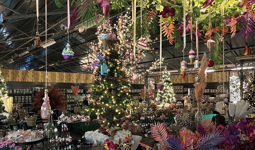 Tuincentrum Overvecht Kerstboom 2025 - Ailee Hermine