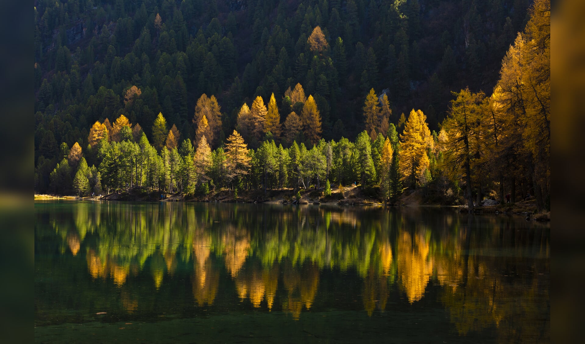 Every october I am in the Swiss Alps to capture the fall colors and at one of my favorite spots I was so lucky to capture the larch trees lit by the sun, reflecting into the water of a lake.