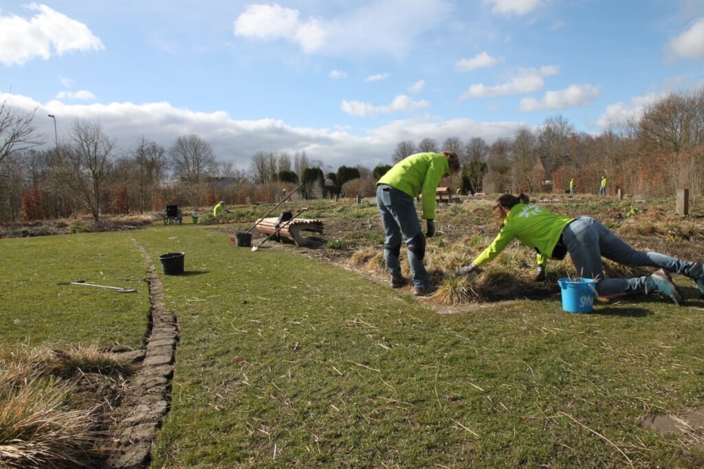 De vrijwilligers maken De Vlinderhof klaar voor de lente.