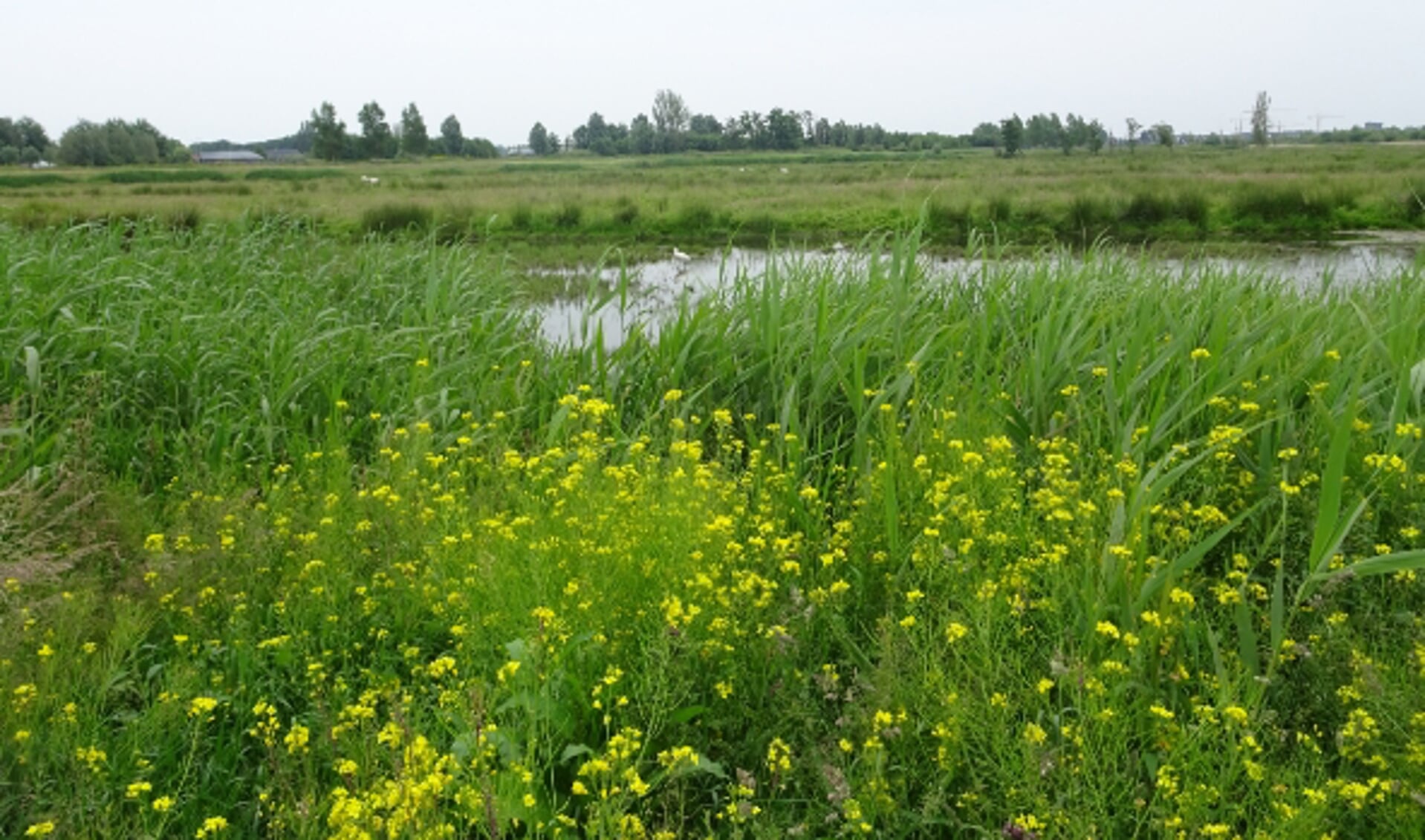 Het is geen straf om te recreëren in de Groenzoom. 