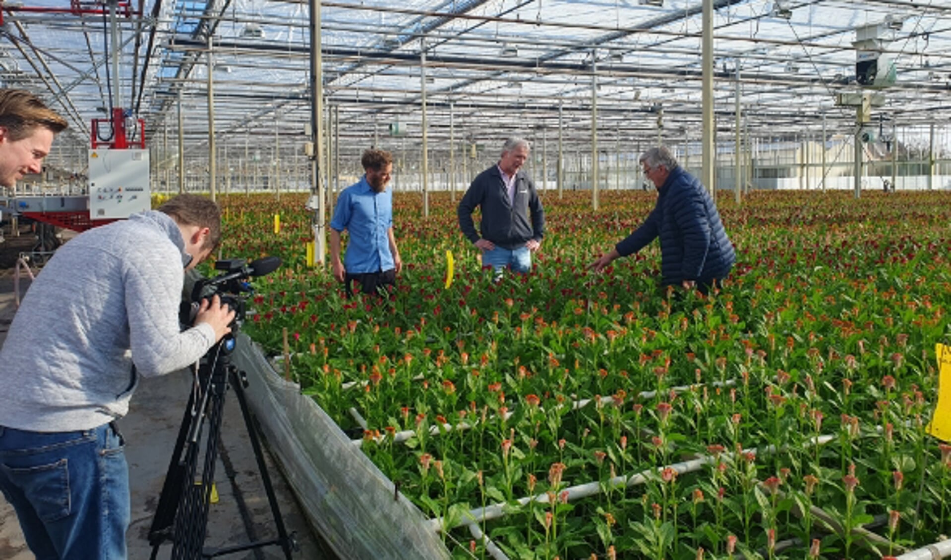 Rutger (geheel links) en Patrick (daarnaast met camera) volgen Piet van der Burg (geheel rechts) al maanden voor de serie Van bloemzaadje tot Vaticaanstad: Bedankt voor de bloemen! (Foto: Martine van Went)
