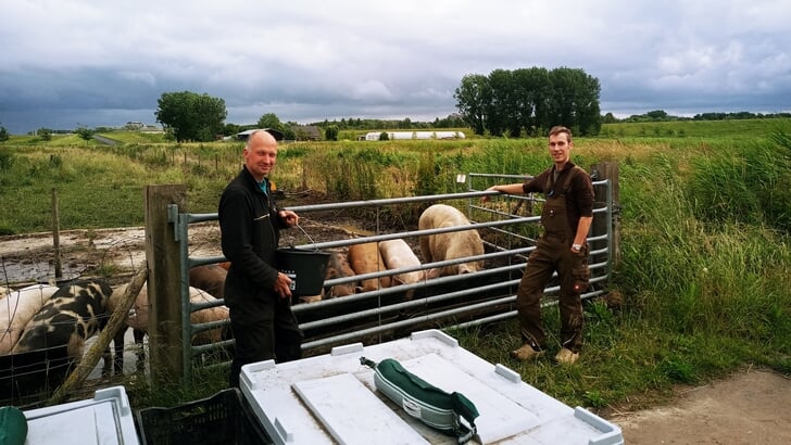 Barry (l) en Maurice boeren dagelijks op De Vlinderstrik. (Foto: Ruud van den Braak)