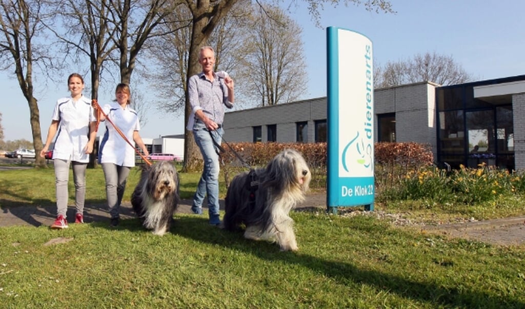 Dierenartsenpraktijk Gorredijk.