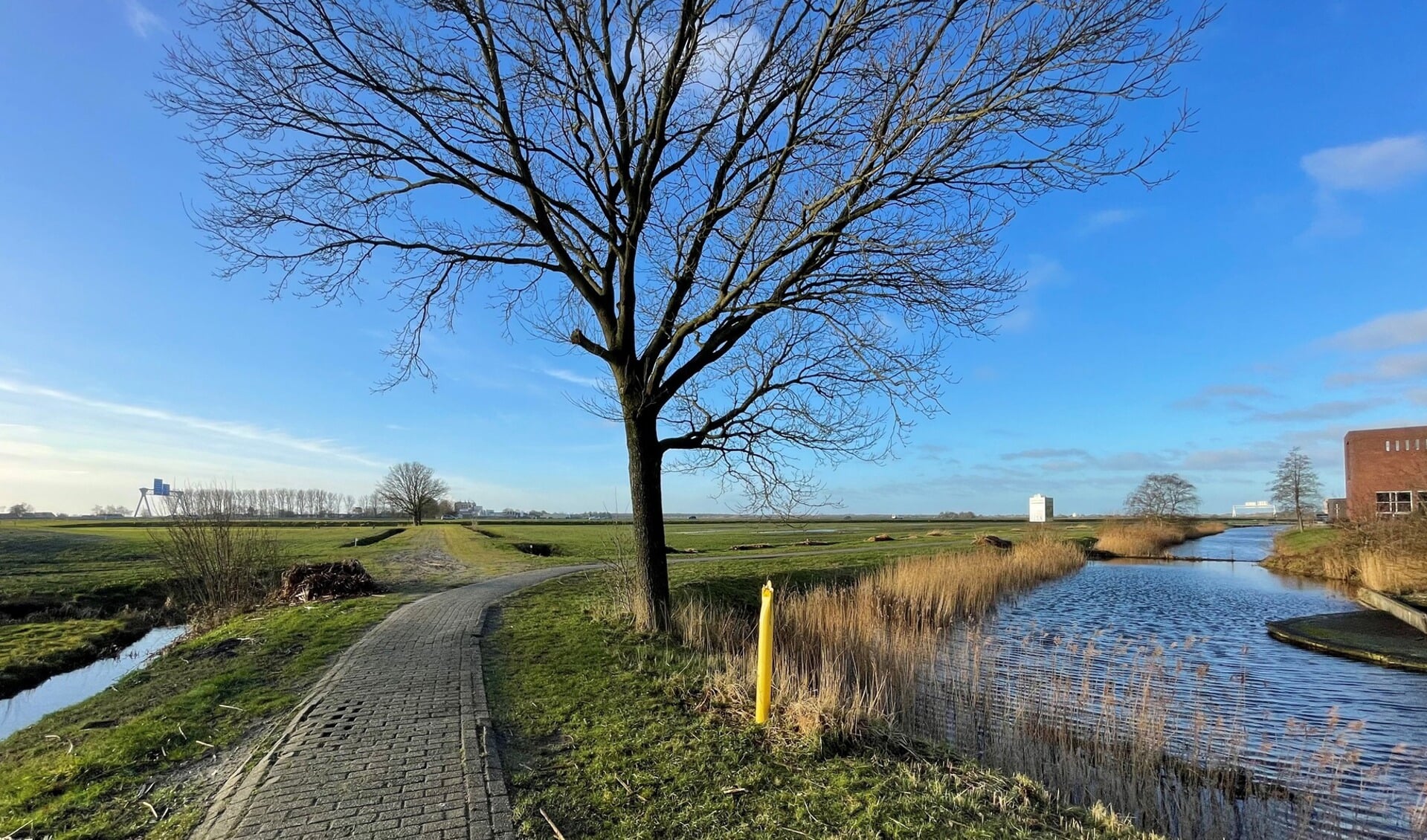 Foto Sian Wierda/Omrop Fryslân