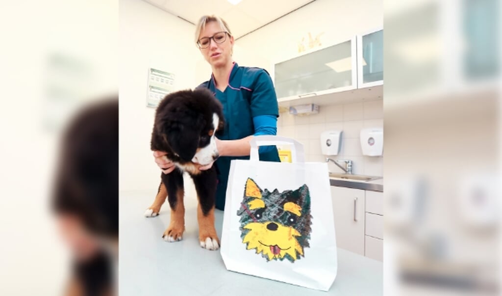 Tasjes Dierenartsen Gorredijk.